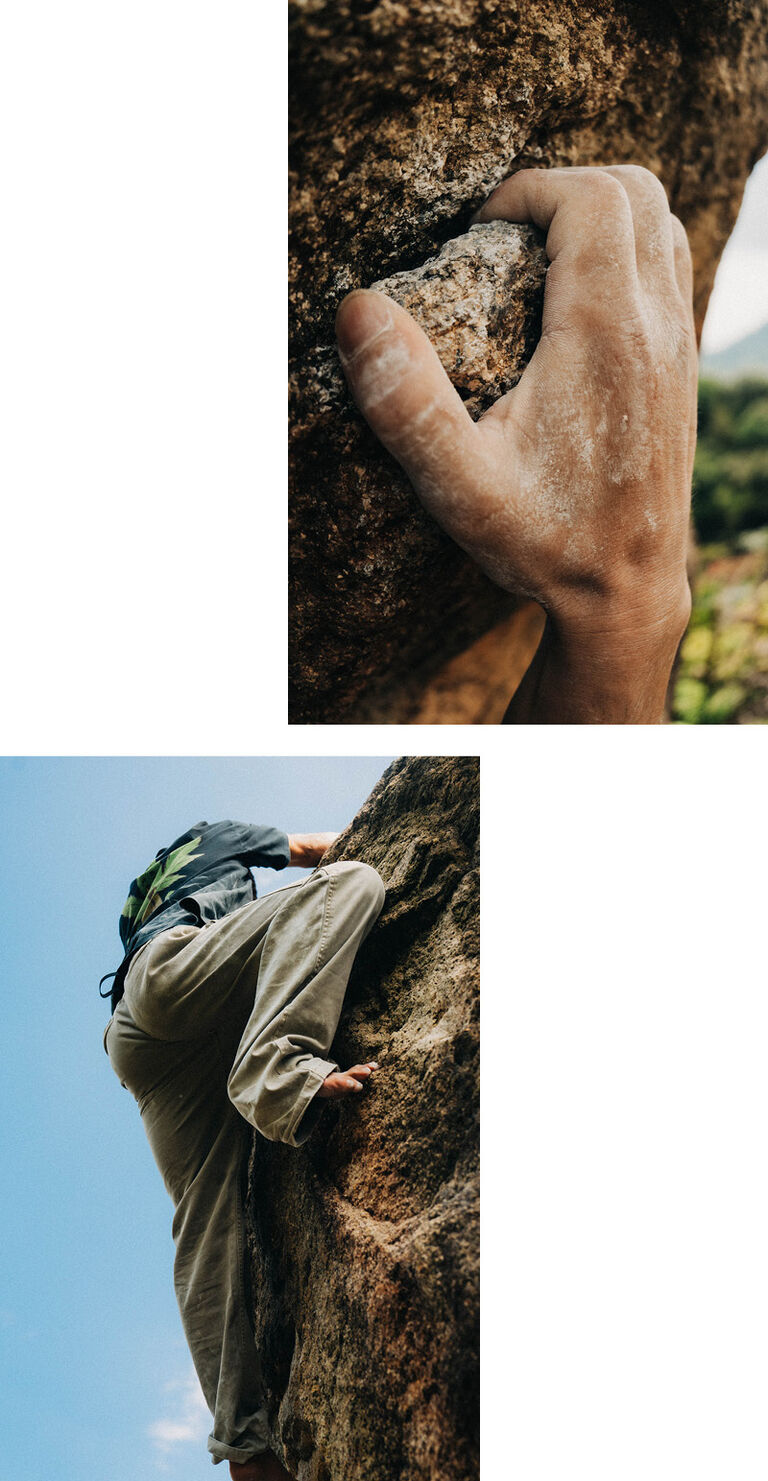 banner image