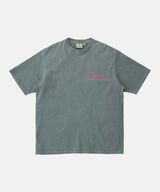 BEETLE TEE PIGMENT DYED,GREY PIGMENT, small image number 1